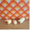 Carolines Home Dolls House Food - 3 Pieces Of Meat 2.070